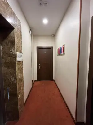a hallway with a door and a red carpet at Taksim Cihangir Fidan Residence Hotel in Istanbul