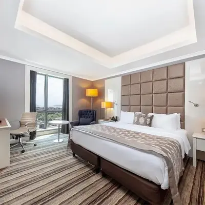 Dedeman Bostanci Istanbul Hotel & Convention Center