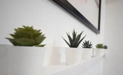 a row of plants sitting on a white shelf at Lika Hotel - Standard Double or Twin Room in Istanbul