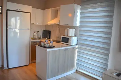 a kitchen with a white refrigerator and a microwave at King Suite SS18 in Istanbul