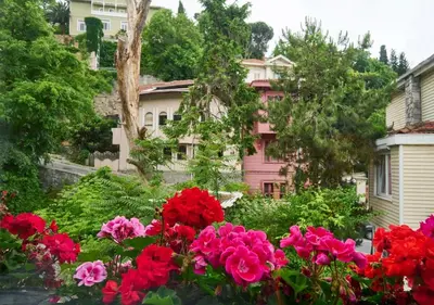 a group of flowers in front of a pink house at Modern Bright Cozy 1bed1bath Hidden Gem! #79 in Istanbul