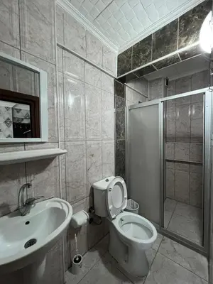 a bathroom with a toilet and a sink and a shower at Orient Hotel in Istanbul