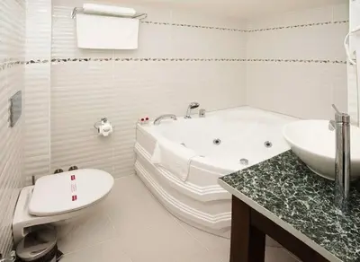 a bathroom with a tub and a toilet and a sink at Fuat Bey Palace Hotel & Spa in Istanbul