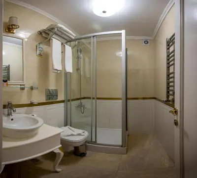 a bathroom with a shower and a toilet and a sink at Fuat Bey Palace Hotel & Spa in Istanbul