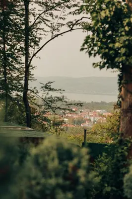 a view of a city through the trees at Sapanca Casamia Suit in Sapanca