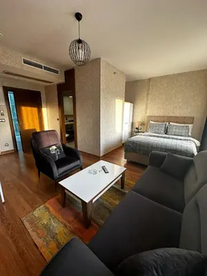 a living room with a bed and a couch and a table at İstanbul Houses Sabiha Gökçen Airport in Istanbul