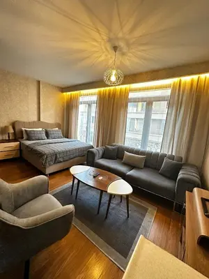 a living room with a couch and a bed at İstanbul Houses Sabiha Gökçen Airport in Istanbul