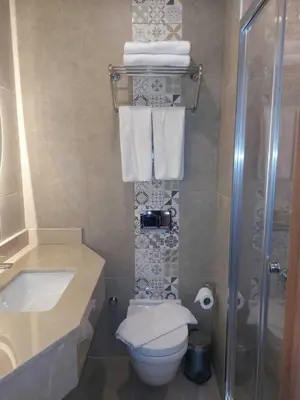 a bathroom with a toilet and a shower and towels at Four Sides Beyoglu in Istanbul