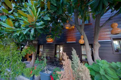 a house with trees and plants in front of it at Yusufpasa Konagi - Special Class in Istanbul