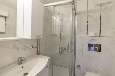 a bathroom with a shower and a toilet and a sink at Naz Wooden House Inn in Istanbul