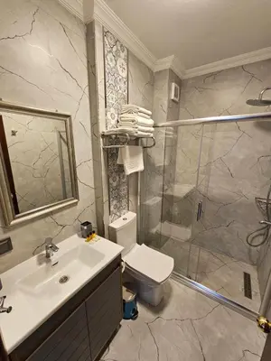 a bathroom with a toilet and a sink and a shower at Gul Sultan Hotel in Istanbul
