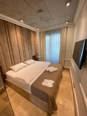 Gallery image of AB Residences -Cihangir Luxury Antique Apartment in Istanbul