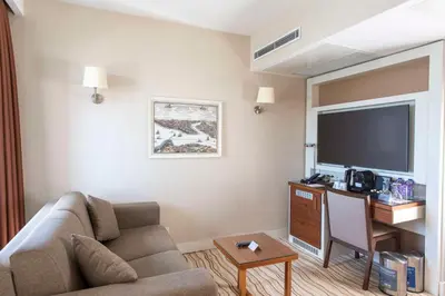 a living room with a couch and a flat screen tv at Radisson Hotel Istanbul Sultanahmet in Istanbul