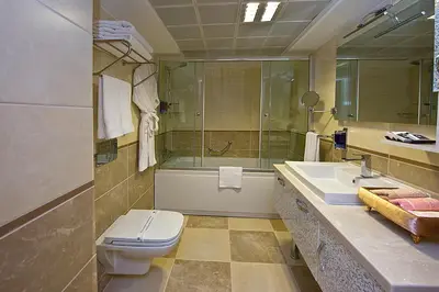 a bathroom with a toilet and a shower and a sink at Askoc Hotel & SPA in Istanbul