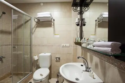 a bathroom with a toilet and a sink and a shower at Ottoman Hotel Imperial-Special Category in Istanbul