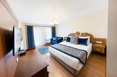 a hotel room with a bed and a television at Seven Hills Hotel - Special Category in Istanbul