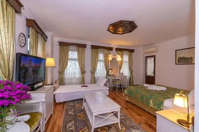 a living room with a couch and a bed and a tv at Arena Hotel - Special Class in Istanbul