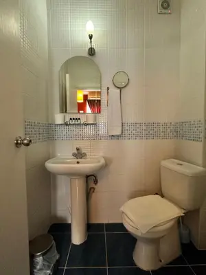 a bathroom with a sink and a toilet and a mirror at Ahmet Efendi Evi in Istanbul