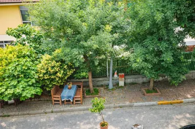 a table and chairs sitting under two trees at Sultanahmet Center View Apart Hotel in Istanbul