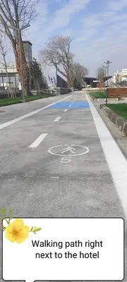 an empty street with a bike path with a yellow flower at fafsuitehome in Istanbul