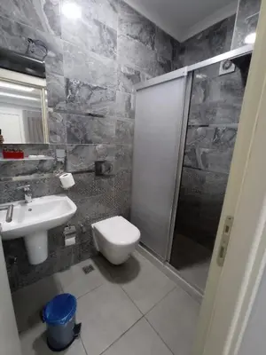 a bathroom with a shower and a toilet and a sink at Emin Konak Hotel in Istanbul