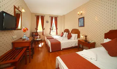 a hotel room with two beds and a flat screen tv at Hotel Erguvan - Special Category in Istanbul