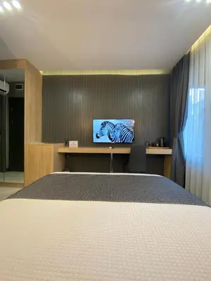 Gallery image of Santra Bosphorus Hotel in Istanbul