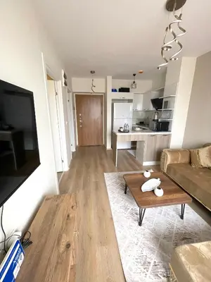 a living room with a couch and a coffee table at Classic Suite MS33 in Esenyurt