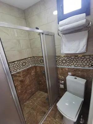 a bathroom with a shower and a toilet and towels at Efzen hotel in Istanbul
