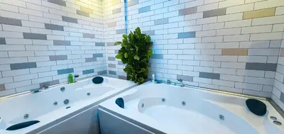 a bathroom with two white tubs and a green plant at Cihangir Flat in Istanbul