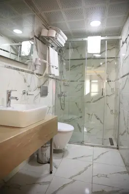 a bathroom with a shower and a sink and a toilet at Hotel Black Pearl in Istanbul