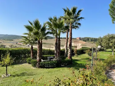 a row of palm trees in a yard with grass at Büyükbalkan Mansion, Charming Farmhouse, Altınova Yalova in Altınova