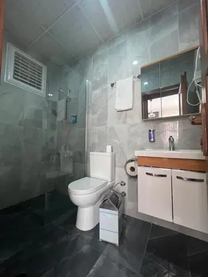 a bathroom with a toilet and a shower and a sink at Oren Hotel in Istanbul