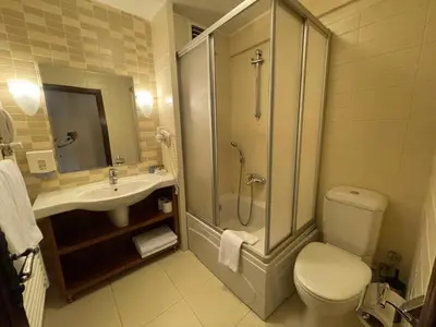 a bathroom with a shower and a toilet and a sink at Beceren Hotel in Bursa