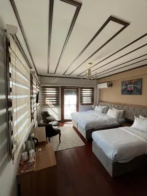 a hotel room with two beds and a couch at PALMERA ART HOUSE in Istanbul