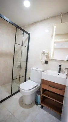 a bathroom with a toilet and a sink and a shower at MİLA SUİTES TAKSİM in Istanbul