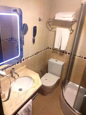 a bathroom with a toilet and a sink and a shower at ZEO HOTEL merter in Istanbul