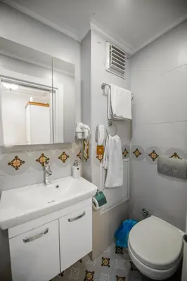 a bathroom with a white sink and a toilet at Linfer Hotel Taksim in Istanbul