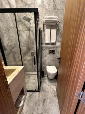 a bathroom with a shower and a toilet and a sink at Berfinn Hotel Ortaköy in Istanbul