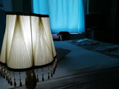 a bedroom with a bed with a curtain on it at Sultanahmet Black Pearl Apart Hotel in Istanbul