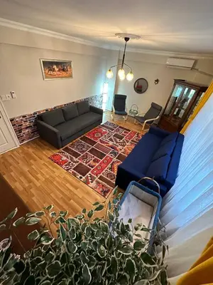 a living room with a couch and a plant at TAKSİM PERA House in Istanbul