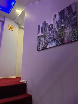 a picture hanging on a wall in a hallway at Sami hotel in Istanbul