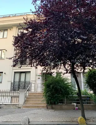 a building with stairs and a tree in front of it at Kaplan Luxury Family Flat - 3 Bedrooms with air conditioning & heating in the City in Istanbul