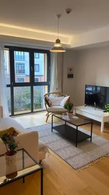 a living room with a couch and a tv at Cebeci Chic and Cosy Apartments in Istanbul