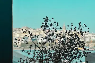 a plant in a window with a view of a city at The Haliç Bosphorus Hotel in Istanbul