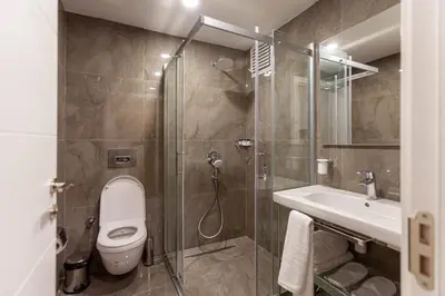 a bathroom with a shower and a toilet and a sink at Lilium Luxury Suites in Istanbul