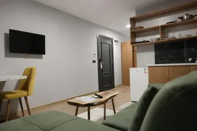 a living room with a couch and a table and a tv at Olen Uskudar Hotel in Istanbul
