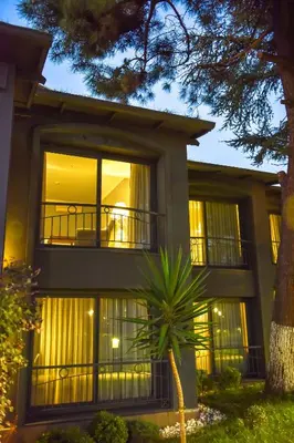 a building with a palm tree in front of it at Denizatı Plus Hotel in Istanbul