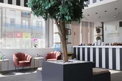 a potted tree in a lobby with two chairs at HOME PLUS Hotel in Istanbul