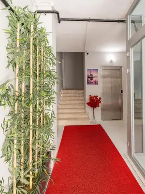 a red carpeted hallway with a red carpet and stairs at The Red Tent Suite 23 in Istanbul